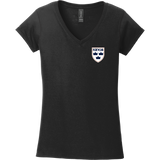 Lady Kings Softstyle Ladies Fit V-Neck T-Shirt