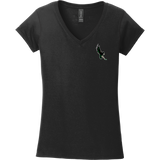 Wilmington Nighthawks Softstyle Ladies Fit V-Neck T-Shirt