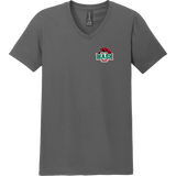 Wash U Softstyle V-Neck T-Shirt