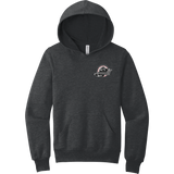 Allegheny Badgers Youth Sponge Fleece Pullover Hoodie