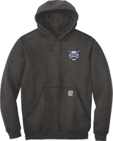 CT Bobcats Carhartt Midweight Hooded Sweatshirt