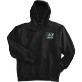 Boca Barracudas Ultimate Cotton - Pullover Hooded Sweatshirt