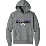 Curry College Heavyweight Hoodie