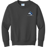 Pittsburgh Huskies Youth Core Fleece Crewneck Sweatshirt